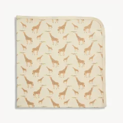Baby Blanket