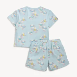 Magnetic PJ Set
